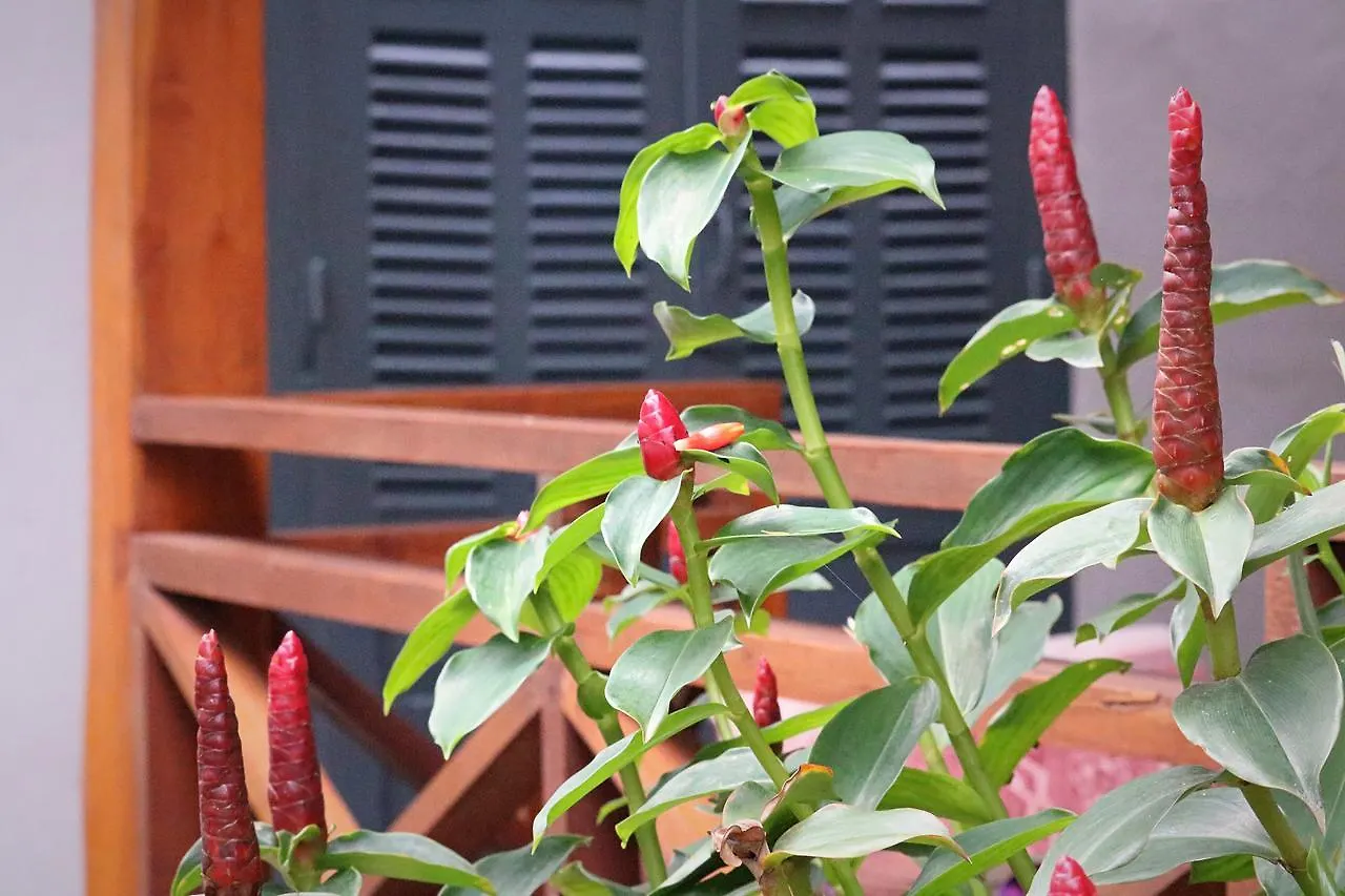 ** Konukevi Xieng Mouane Guesthouse Luang Prabang Laos